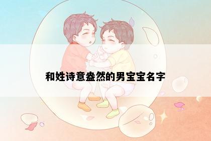 和姓诗意盎然的男宝宝名字
