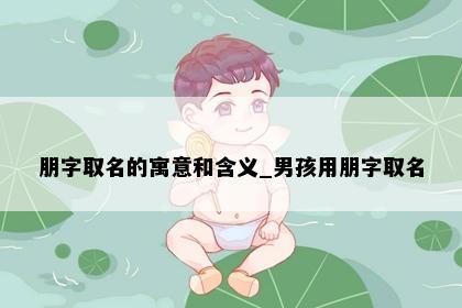 朋字取名的寓意和含义_男孩用朋字取名