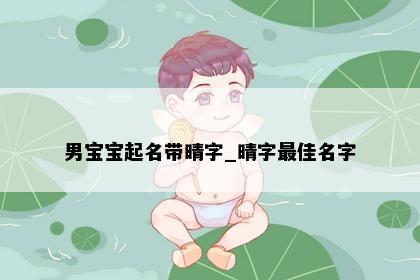 男宝宝起名带晴字_晴字最佳名字