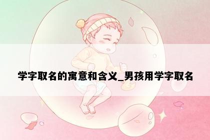 学字取名的寓意和含义_男孩用学字取名